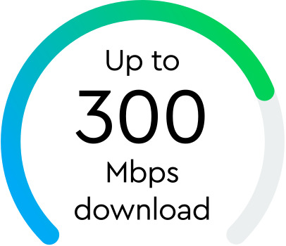 net speed